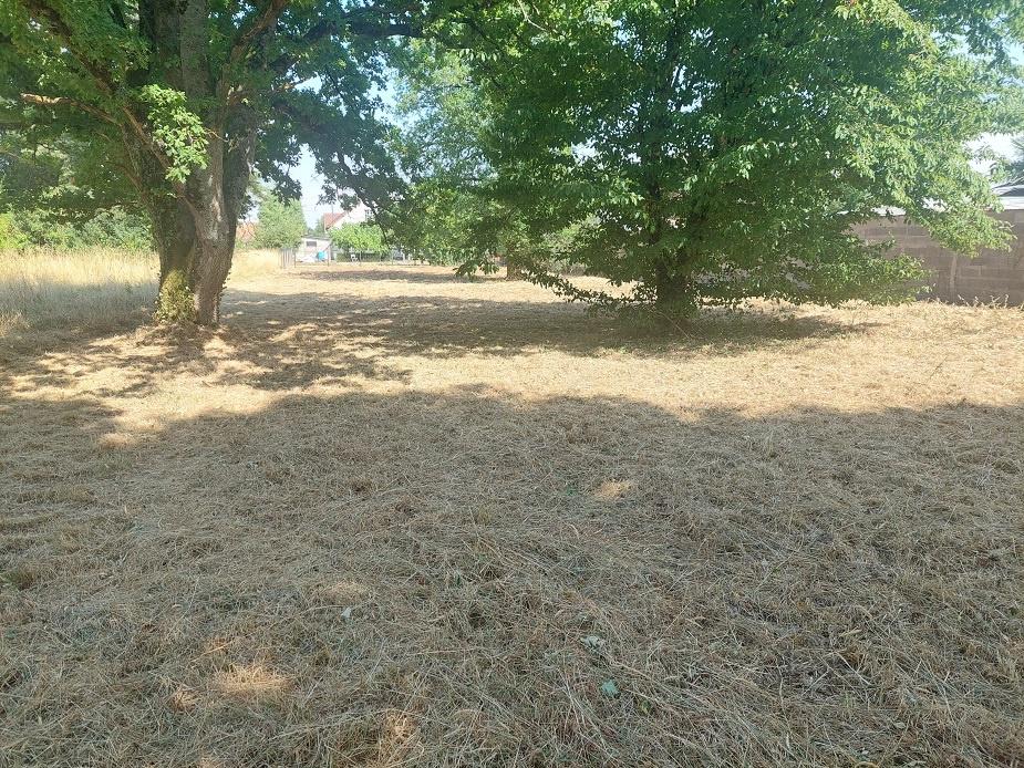 TERRAIN CONSTRUCTIBLE VIERZON SUD