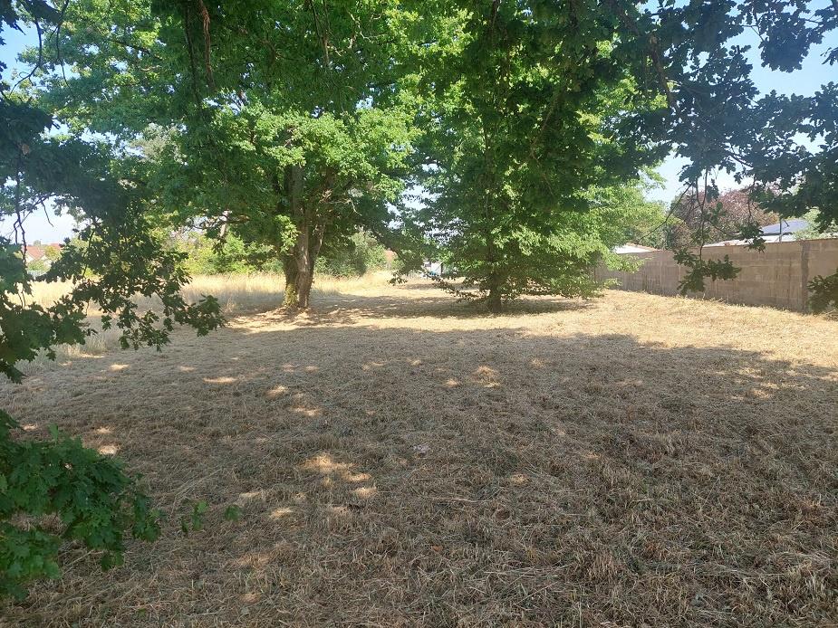 TERRAIN CONSTRUCTIBLE VIERZON SUD