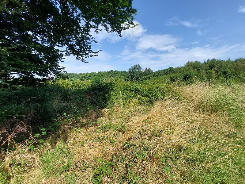 TERRAIN CONSTRUCTIBLE VIERZON